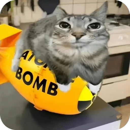 💣 Стикер «Зазу» для Telegram