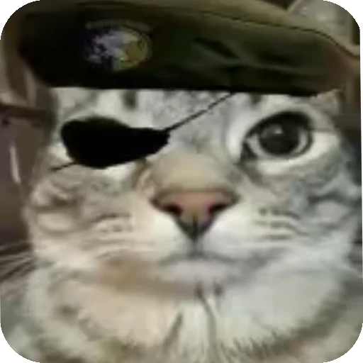 🪖 Стикер «Зазу» для Telegram