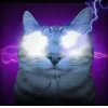Стикер 29 Zazu All Emotes