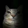 Стикер 39 Zazu All Emotes