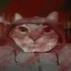 Стикер 41 Zazu All Emotes
