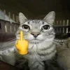 Стикер 19 Zazu All Emotes