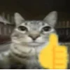 Стикер 6 Zazu All Emotes