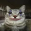 Стикер 11 Zazu All Emotes