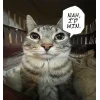 Стикер 2 Zazu All Emotes