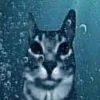 Стикер 32 Zazu All Emotes