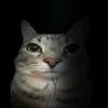 Стикер 14 Zazu All Emotes