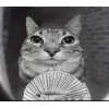 Стикер 25 Zazu All Emotes