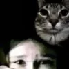 Обложка набора Zazu All Emotes
