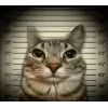 Стикер 21 Zazu All Emotes