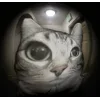 Стикер 37 Zazu All Emotes
