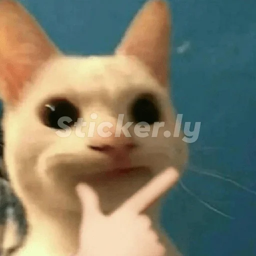 🤨 Стикер «Стикероус» для Telegram