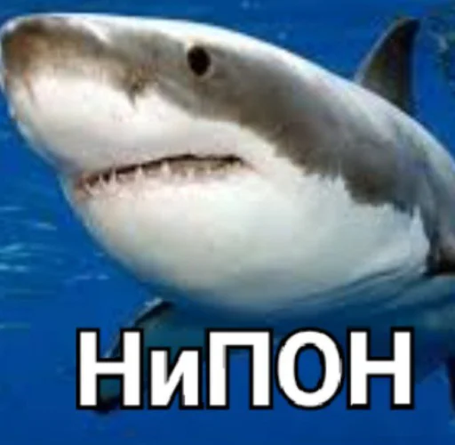 😐 Стикер «zero_skamm» для Telegram