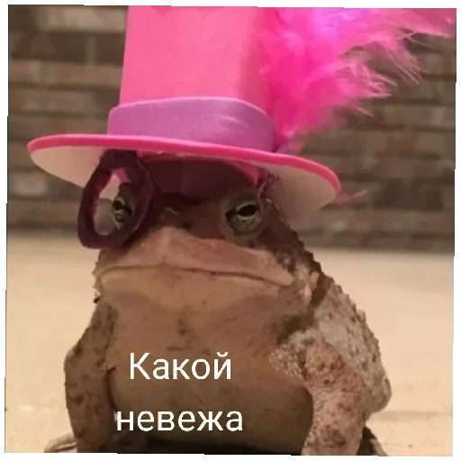 🧐 Стикер «Жабычи и ляги» для Telegram