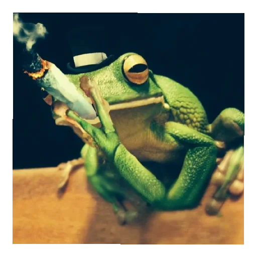 🚬 Стикер «Жабычи и ляги» для Telegram