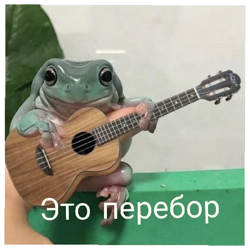 😠 Стикер «Жабычи и ляги» для Telegram