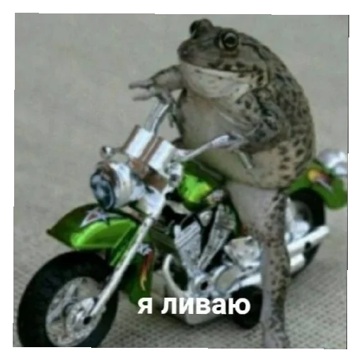 👋 Стикер «Жабычи и ляги» для Telegram