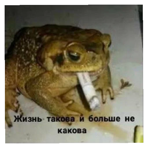 ☝️ Стикер «Жабычи и ляги» для Telegram