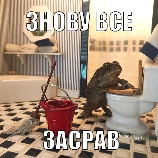 💩 Стикер «жаби йопта» для Telegram