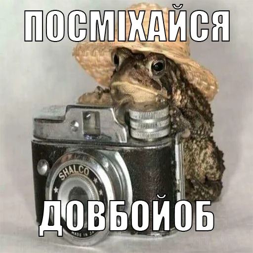📷 Стикер «жаби йопта» для Telegram