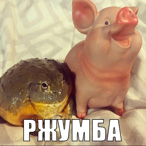 😂 Стикер «жаби йопта» для Telegram