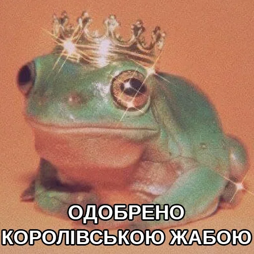 😌 Стикер «жаби йопта» для Telegram