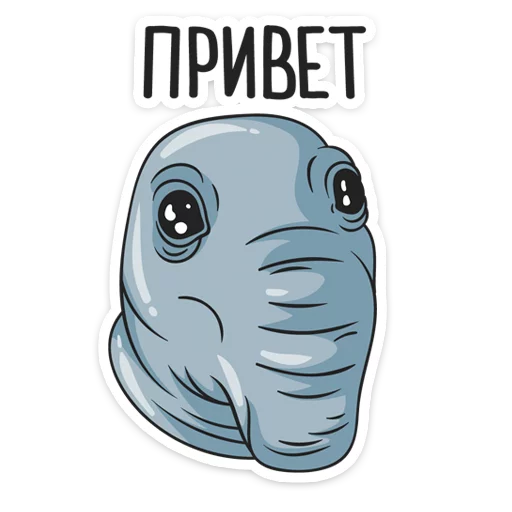 Обложка пака
