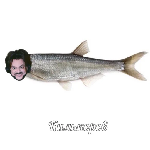 🍣 Стикер «рофлы с фамилиями актеров» для Telegram