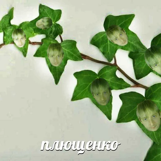🍇 Стикер «рофлы с фамилиями актеров» для Telegram