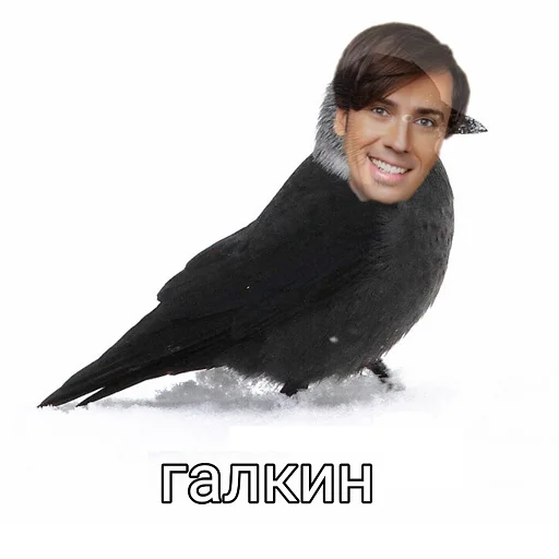🧊 Стикер «рофлы с фамилиями актеров» для Telegram