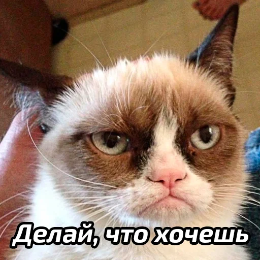 🥰 Стикер «Бабские стикеры» для Telegram