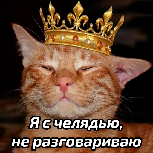 👑 Стикер «Бабские стикеры» для Telegram