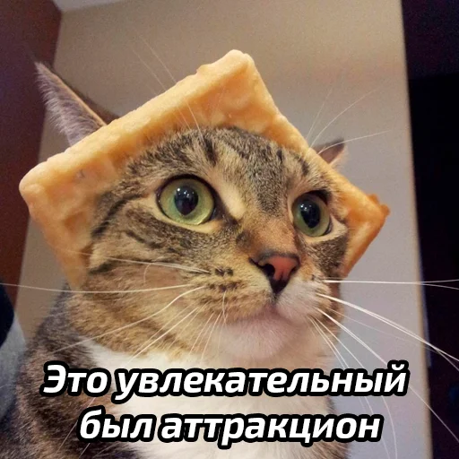 🙂 Стикер «Бабские стикеры» для Telegram
