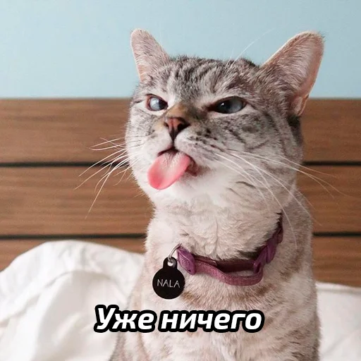 😫 Стикер «Бабские стикеры» для Telegram