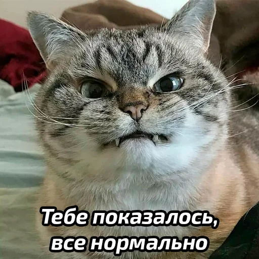 😒 Стикер «Бабские стикеры» для Telegram