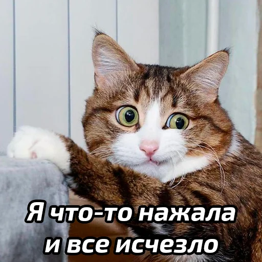 🤩 Стикер «Бабские стикеры» для Telegram