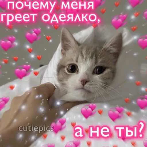 😔 Стикер «zhenyamssongs» для Telegram