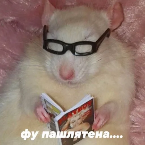 🥴 Стикер «zhenyamssongs» для Telegram
