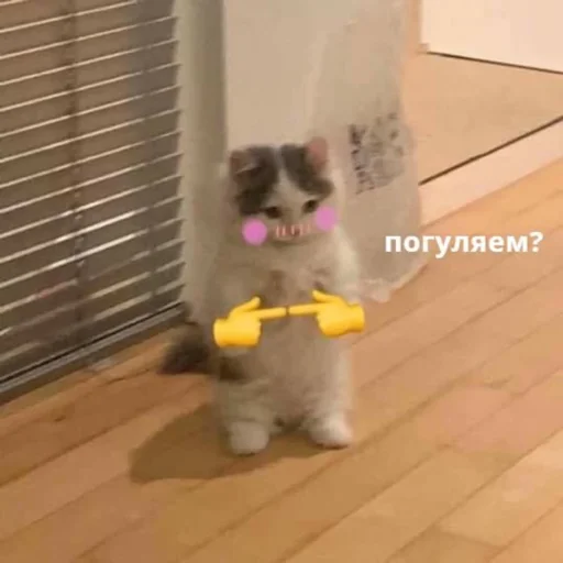 🥺 Стикер «zhenyamssongs» для Telegram