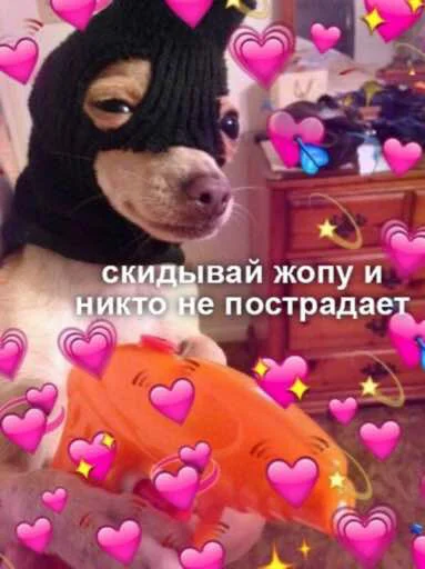 😏 Стикер «zhenyamssongs» для Telegram