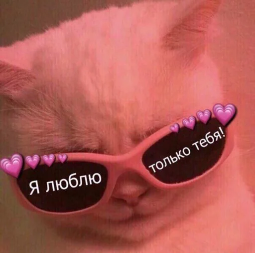 😘 Стикер «zhenyamssongs» для Telegram
