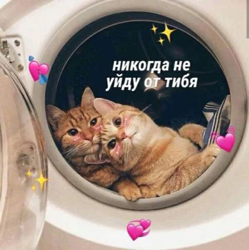 🥺 Стикер «zhenyamssongs» для Telegram