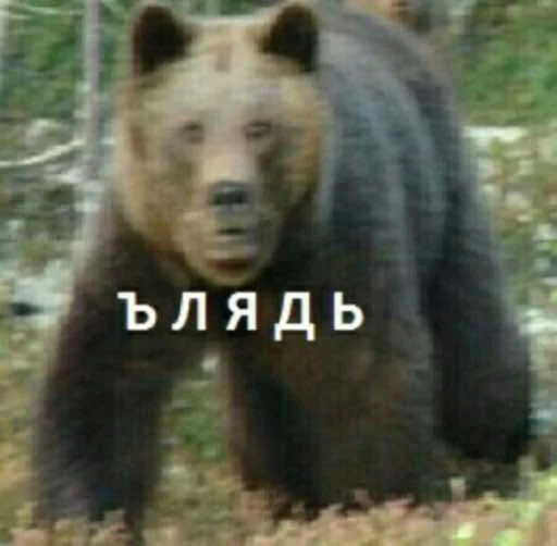 🙂 Стикер «zhenyamssongs» для Telegram