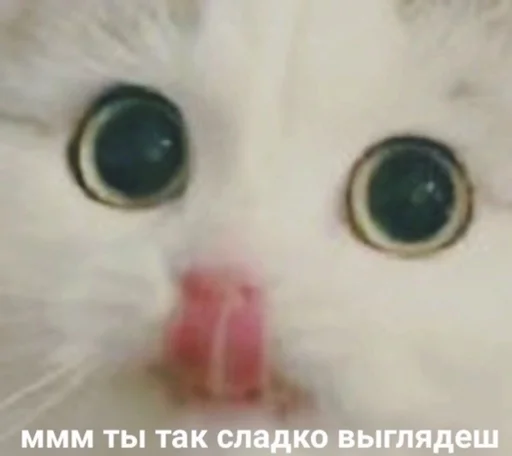 😋 Стикер «zhenyamssongs» для Telegram