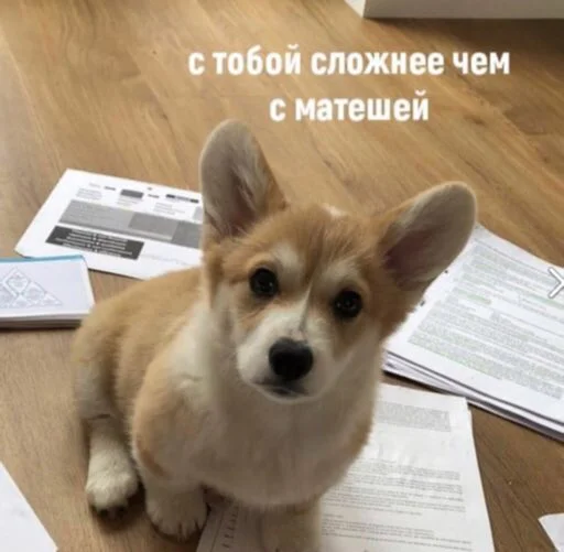 😐 Стикер «zhenyamssongs» для Telegram