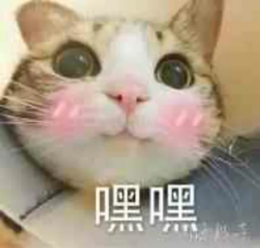 ☺️ Стикер «核心支付群友专享» для Telegram