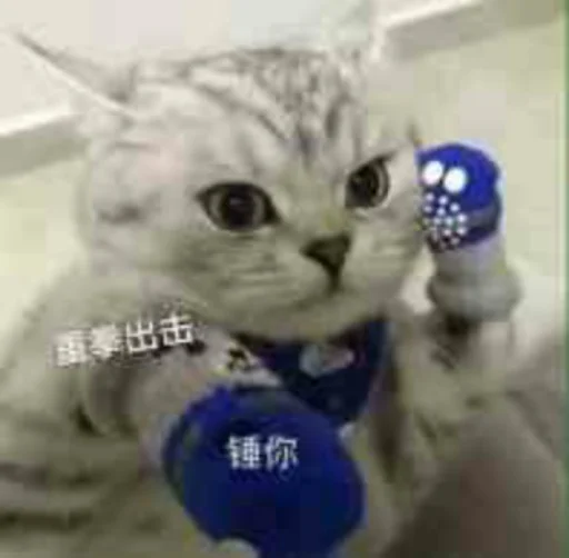 😉 Стикер «核心支付群友专享» для Telegram