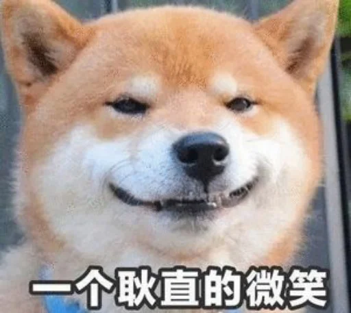 😊 Стикер «核心支付群友专享» для Telegram