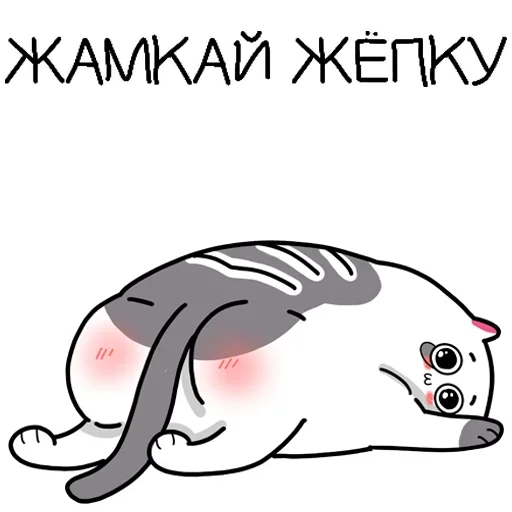 😏 Стикер «Жиробарсик 2» для Telegram
