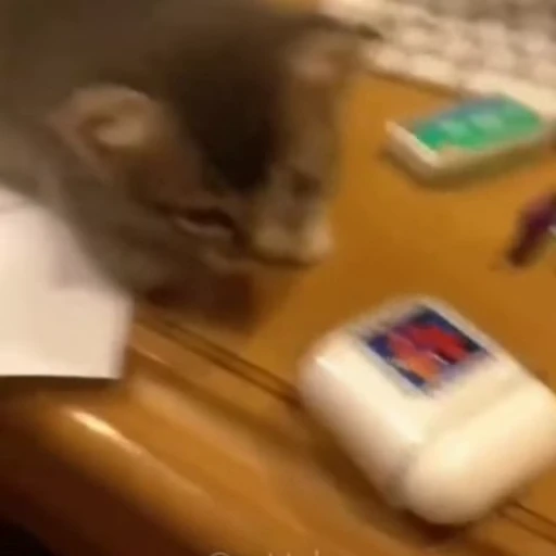 🐈 Стикер «Животные» для Telegram